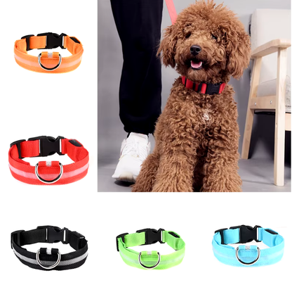 Collar Led Recargable Mascotas