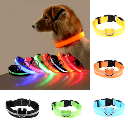 Collar Led Recargable Mascotas