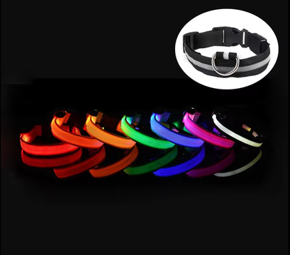 Collar Led Recargable Mascotas