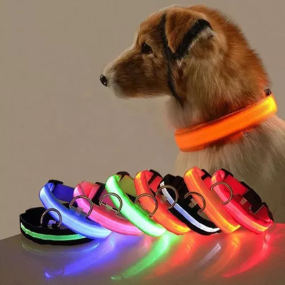 Collar Led Recargable Mascotas